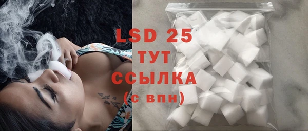 стафф Зерноград