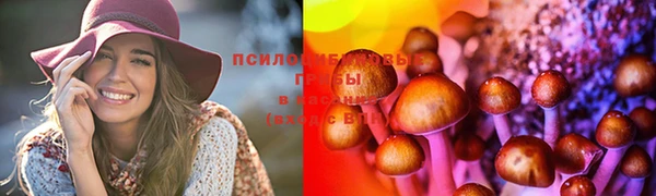 прущий лед Зеленодольск