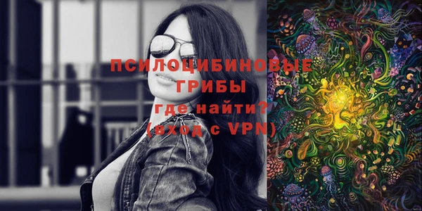 стафф Зерноград