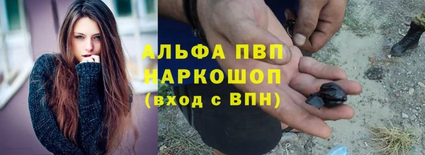 стафф Зерноград