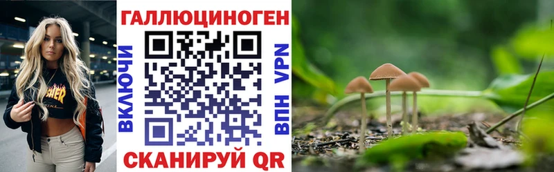 Купить  Калязин  Галлюциногенные грибы прущие грибы 